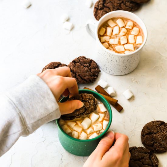 Hot chocolate snickerdoodles