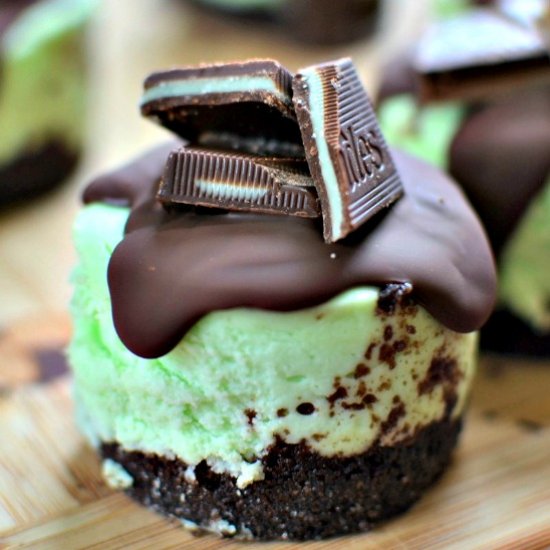 Andes Mint Mini Cheesecakes