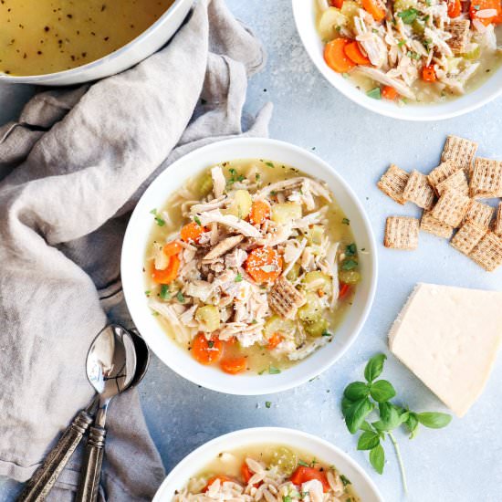 turkey and orzo soup