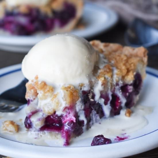 Blueberry Custard Pie