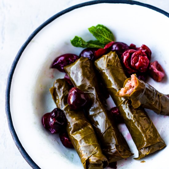 vegan dolmas with cranberries