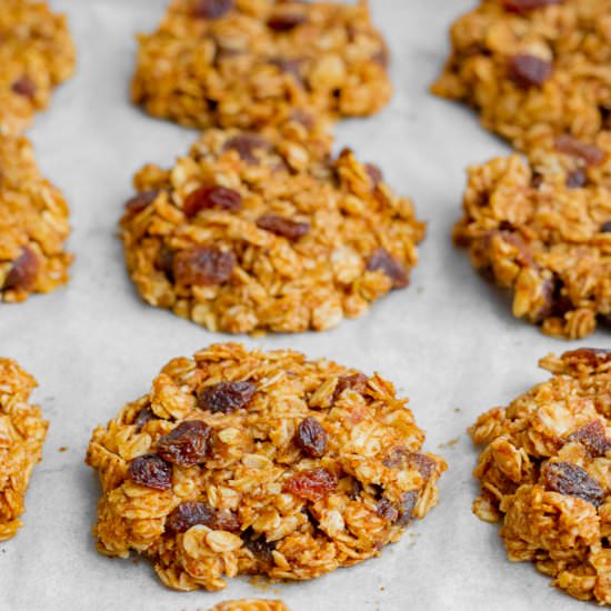 No-Bake Oatmeal Raisin Cookies