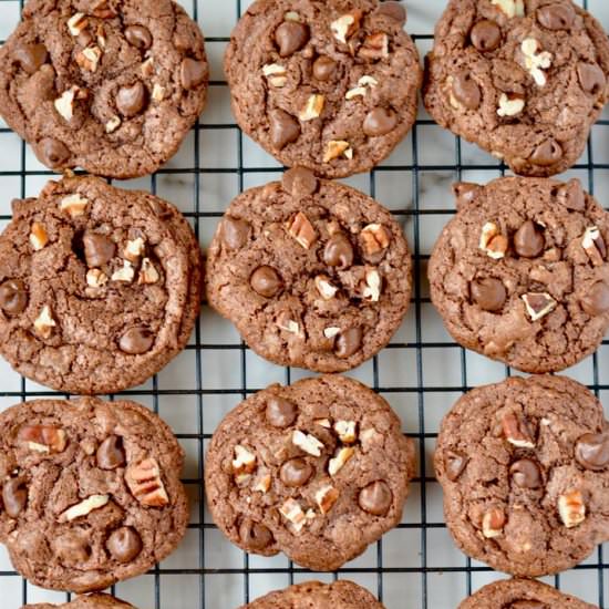 Chewy Chocolate Cookie Recipe