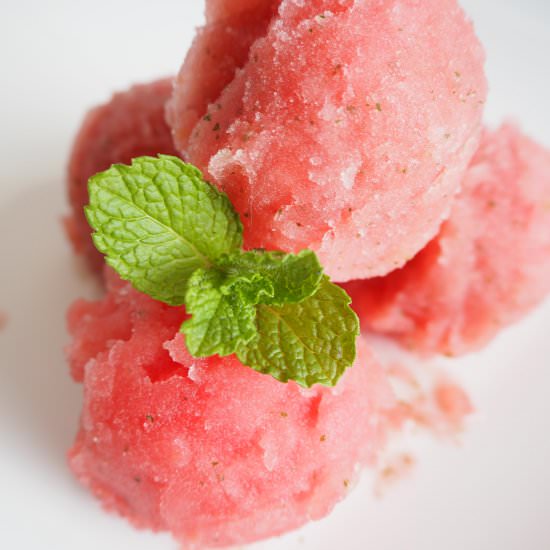 Watermelon and mint sorbet