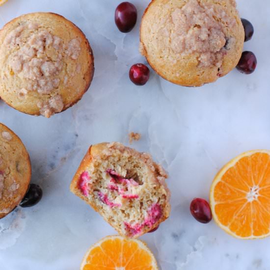 Cranberry Orange Muffins