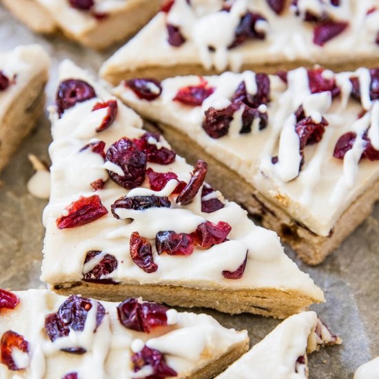 Paleo Cranberry Bliss Bars