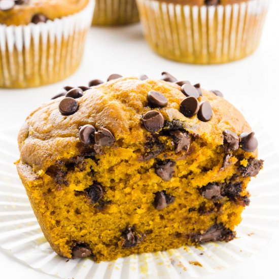 Pumpkin Chocolate Chip Muffins