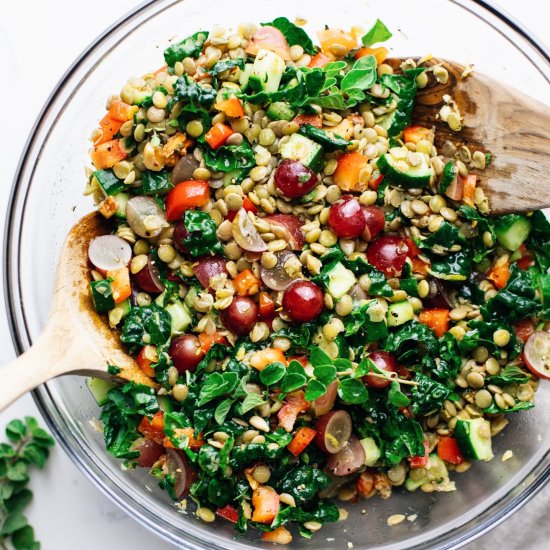 Crunchy Lentil Salad