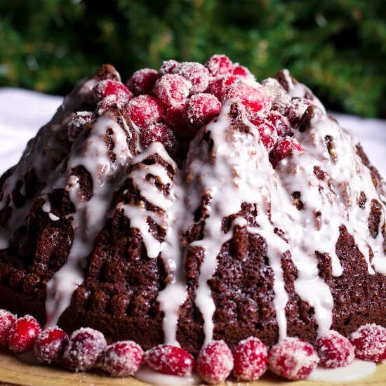 Gingerbread Cake with Cranberries