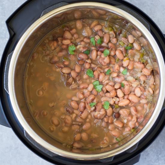 Instant Pot Pinto Beans