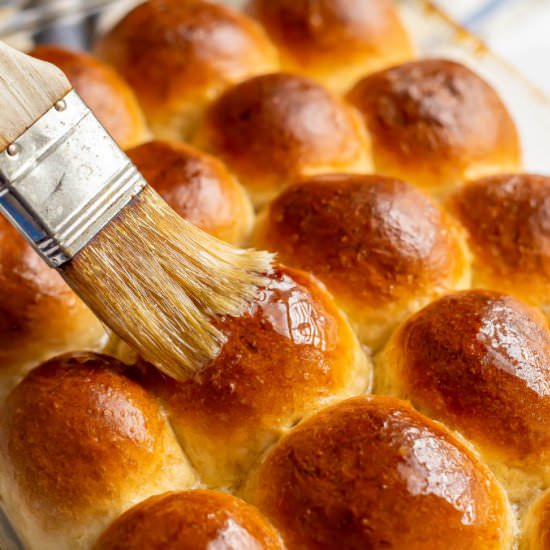 Homemade Dinner Rolls