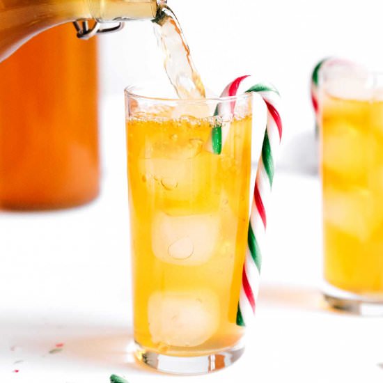 Candy Cane Kombucha