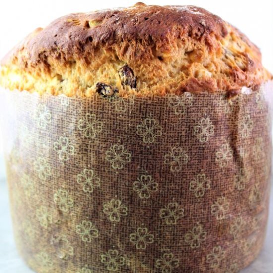 Gluten Free Panettone