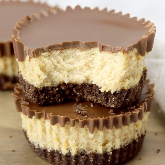 Mini Peanut Butter Cup Cheesecakes