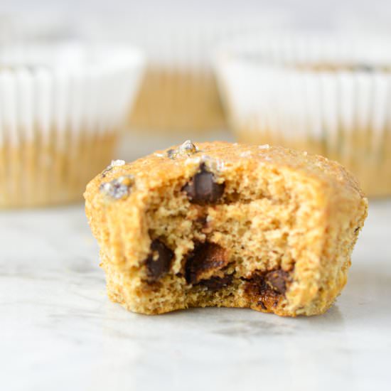 Yogurt Dark Chocolate Chip Muffins