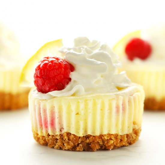 Raspberry Lemon Mini Cheesecakes