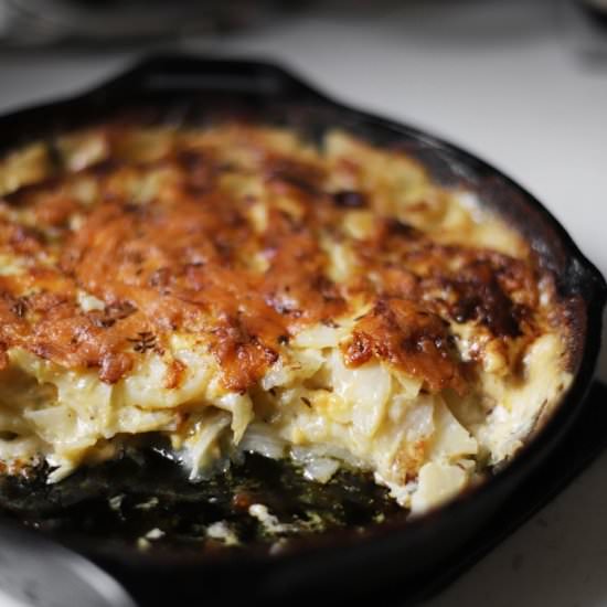 caraway potato fennel gratin