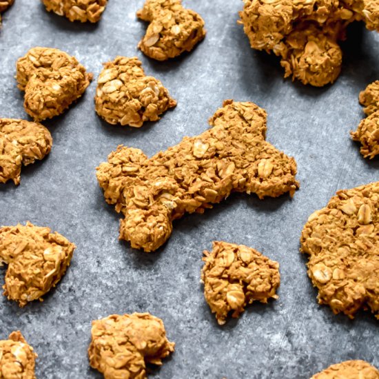 Pumpkin Peanut Butter Dog Treats