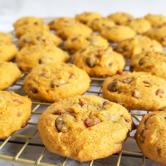 Pumpkin Chocolate Chip Cookies