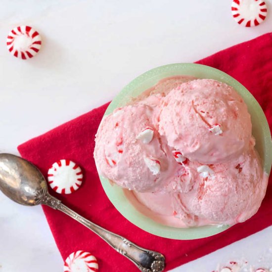 No Churn Peppermint Ice Cream