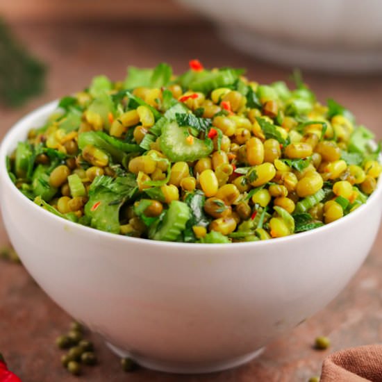 MUNG BEAN HEALTHY SALAD