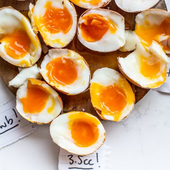 How to cook the PERFECT soft eggs