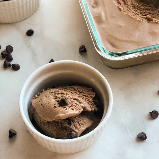 Double Chocolate Chip Ice Cream