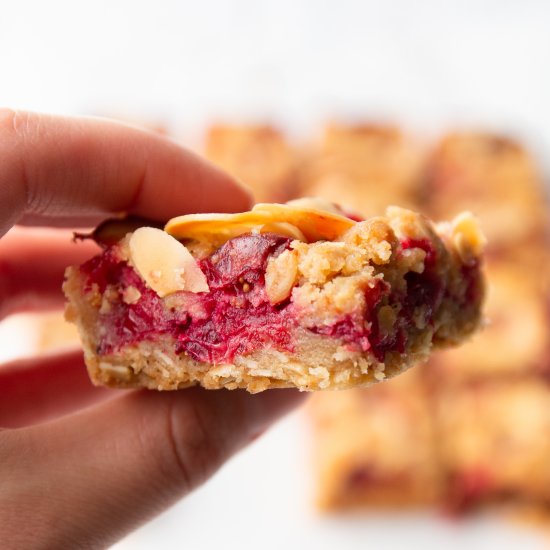 Cranberry Oat Bars