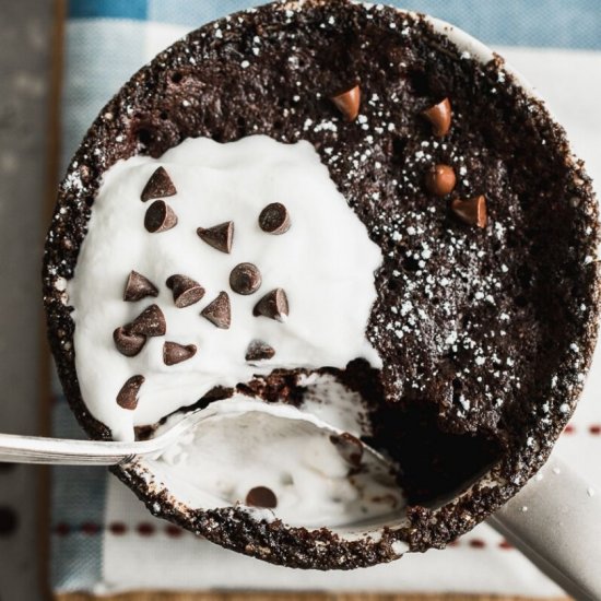 EASY PALEO CHOCOLATE MUG CAKE