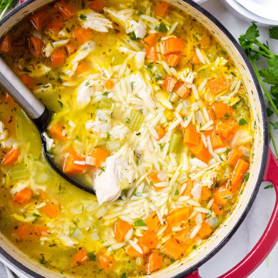 Turkey Orzo Soup