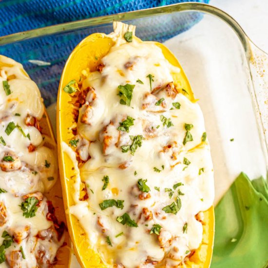 Chicken enchilada spaghetti squash