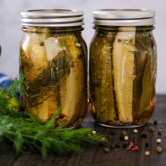 Homemade Zesty Dill Pickles