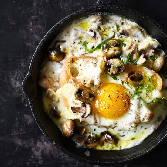 creamy mushrooms on toast