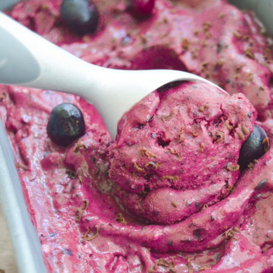 Chocolate Blueberry Frozen Yogurt