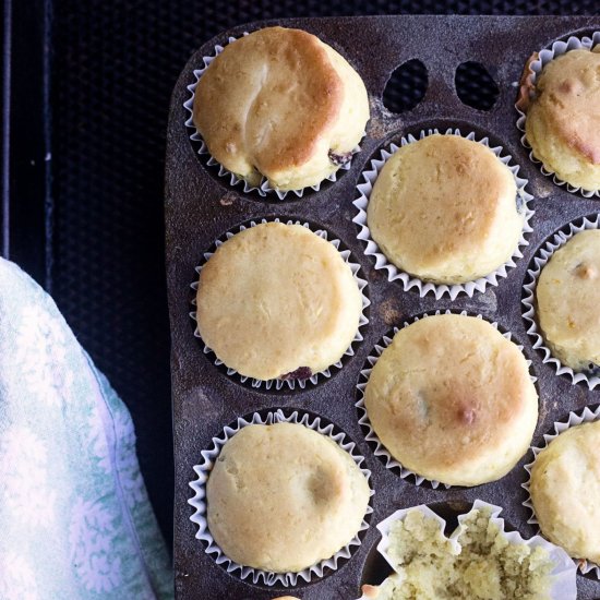 Skinny Cranberry Orange Muffins