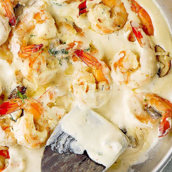 SHRIMP ALFREDO