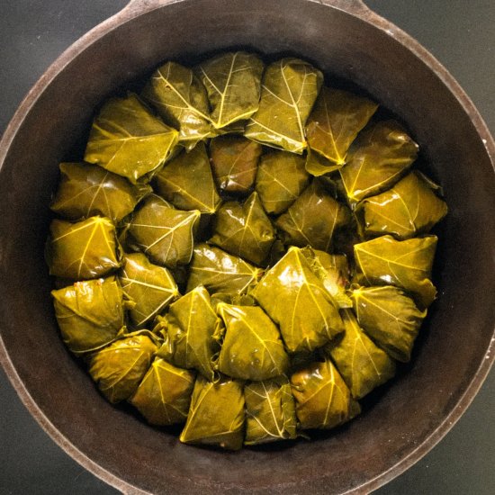 Grape Leaves with Rice and Meat