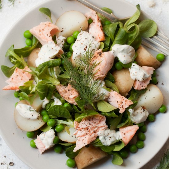 Salmon, Potato & Horseradish salad