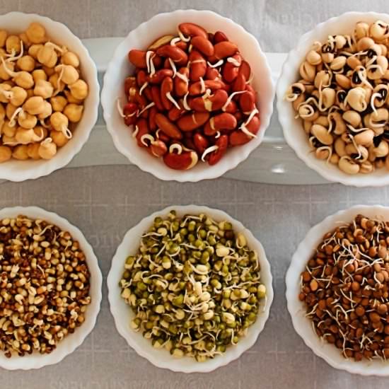 How to grow sprouts – Lentils,Beans