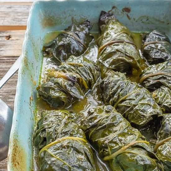 Baked Stuffed Chard Rolls