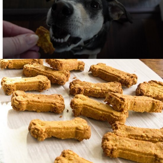 Oatmeal and Pumpkin Dog Biscuits