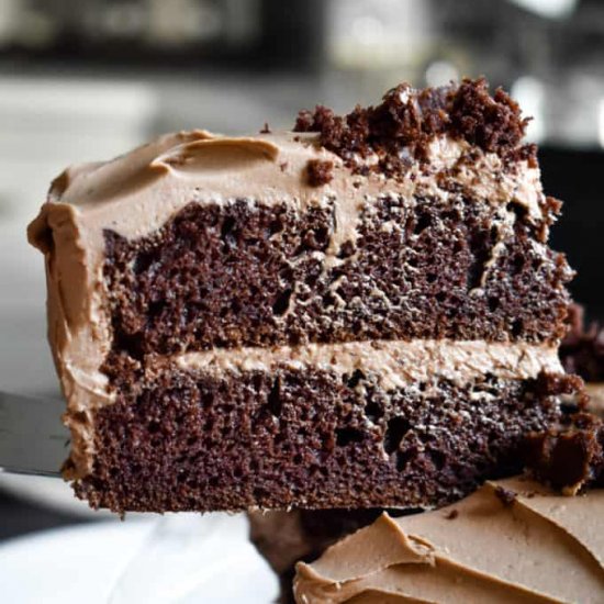 Double Chocolate Layer Cake