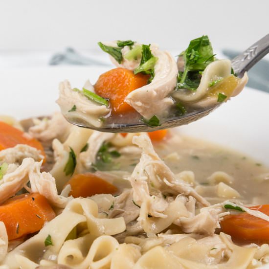 Instant Pot Chicken Noodle Soup