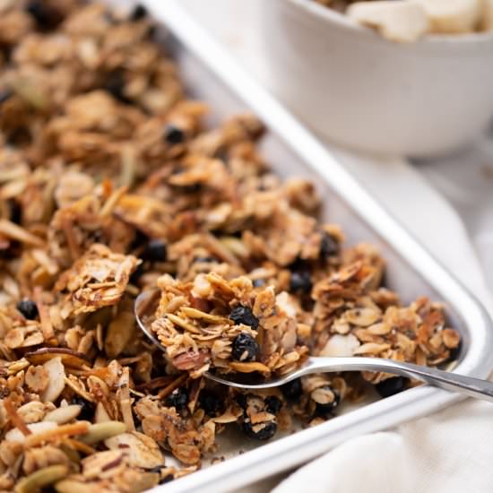 Blueberry Toasted Coconut Granola