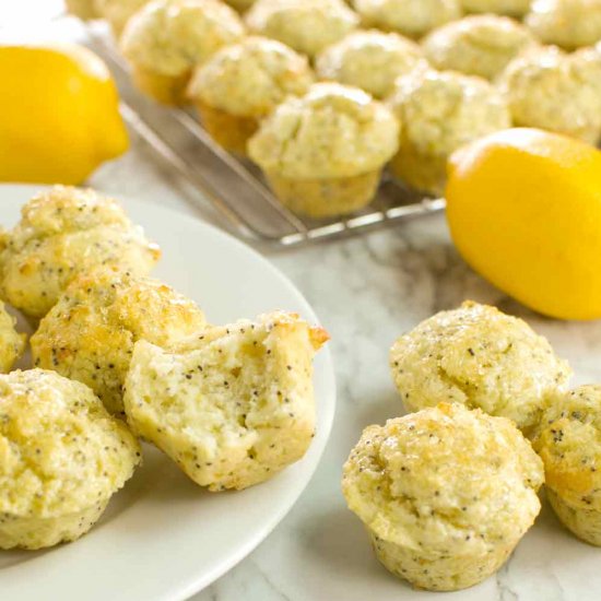 Lemon Poppy Seed Mini-Muffin