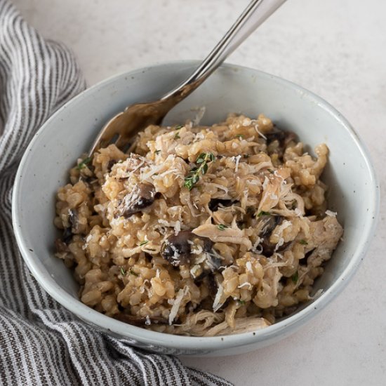 Instant Pot Chicken and Rice