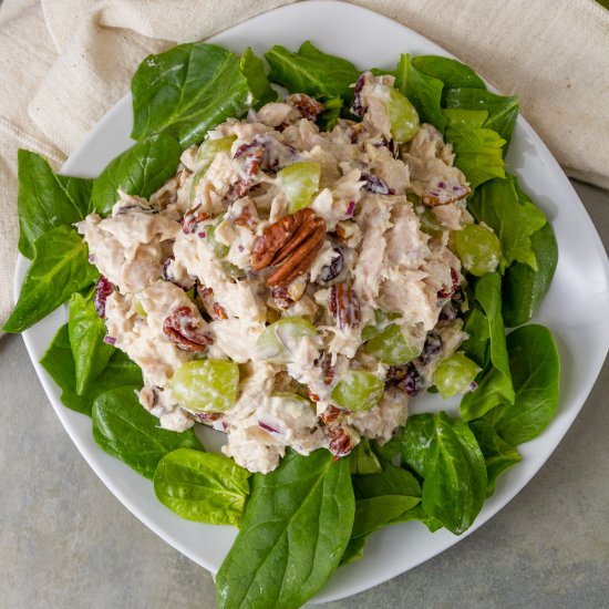 Cranberry Pecan Tuna Salad