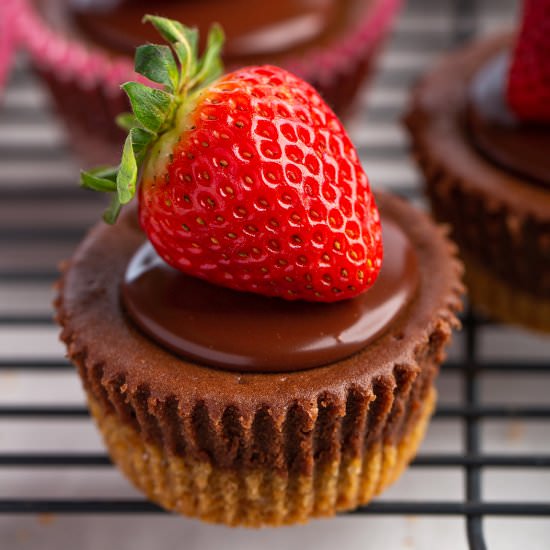 Mini Chocolate Nutella Cheesecakes