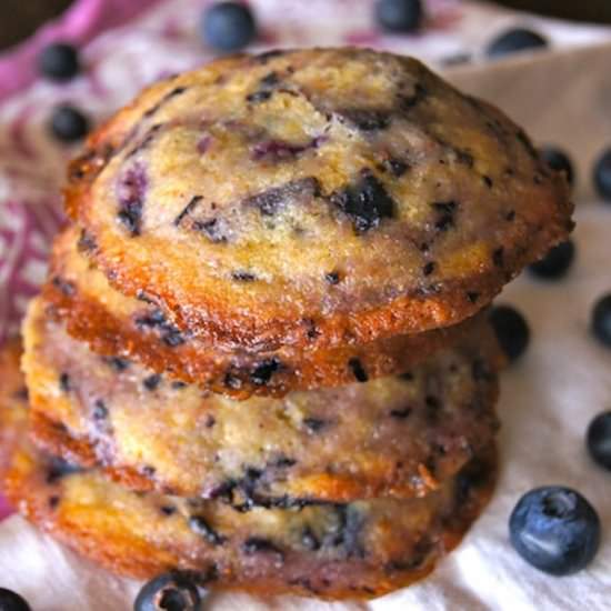 Blueberry Chocolate Chunk Cookies