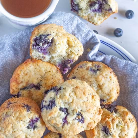 EASY BLUEBERRY MUFFINS WITH LEMON